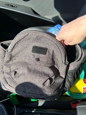 Tushbaby hip carrier